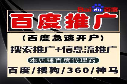 搜索引擎营销（SEM）成功运营的五大案例